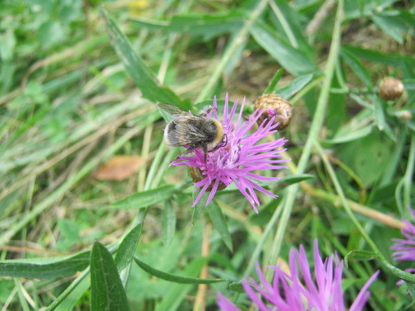 Лилия Бацкова
