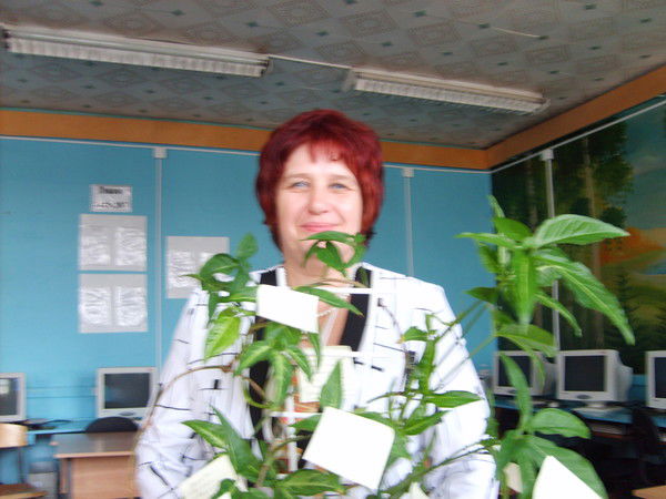 Елена Анохина