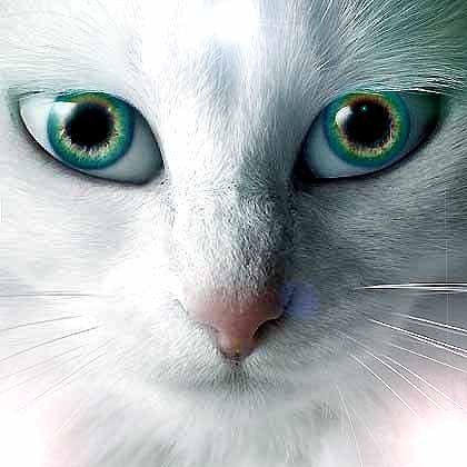 Василий Игнатьев