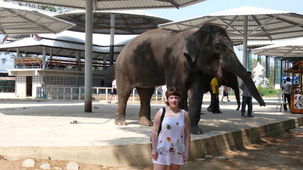 Елена Росликова