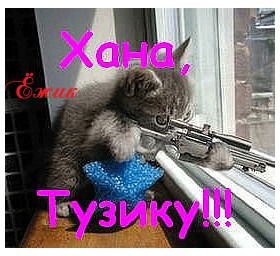 Игорь Астапенко