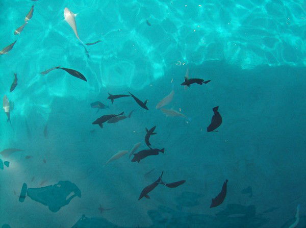 Татьяна Осташова