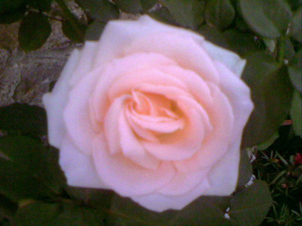 Закирова Ольга