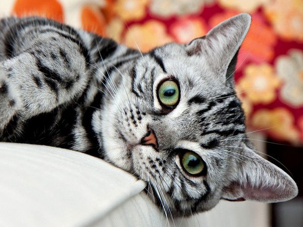 Алёна Злобина