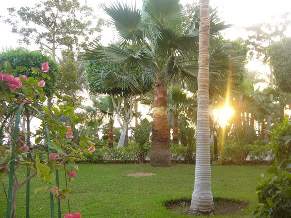 Котков Сергей