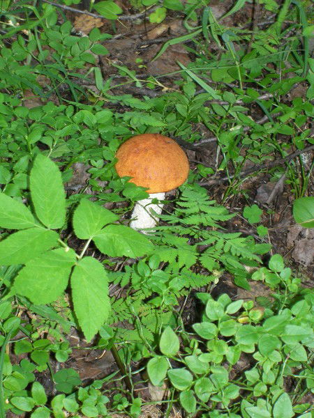 Марина Власова