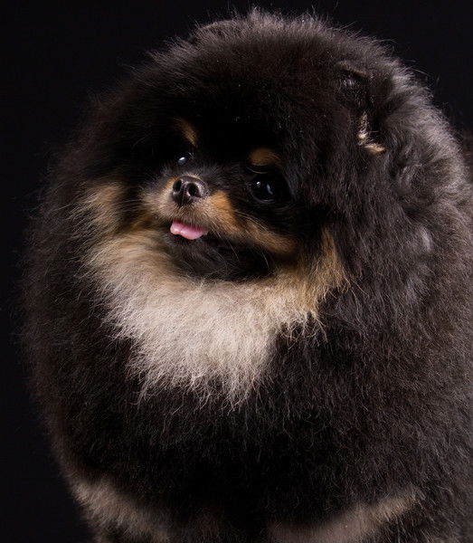 Олеся Атаманская