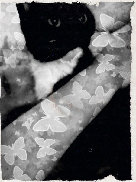 Наташа Кожевяткина