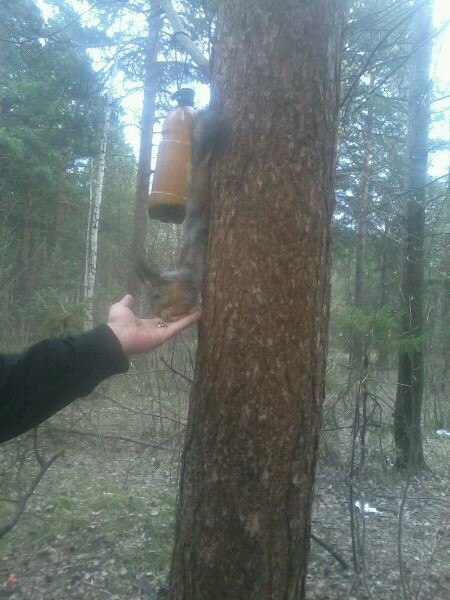 Юрий Цепелев