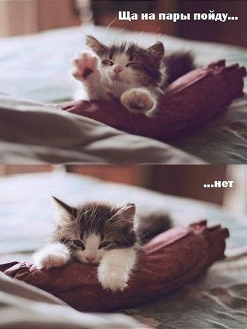 Татьяна Буслова