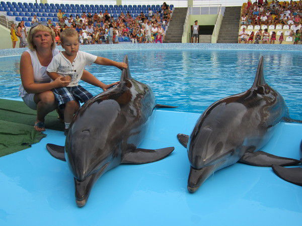 Елена Капитонова