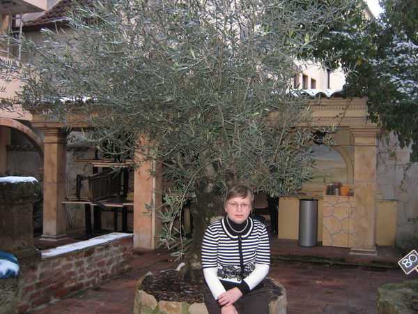 Светлана Вариасова