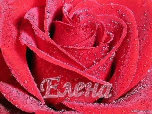 Елена Морозова