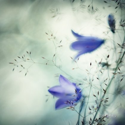 Янина Чернюк