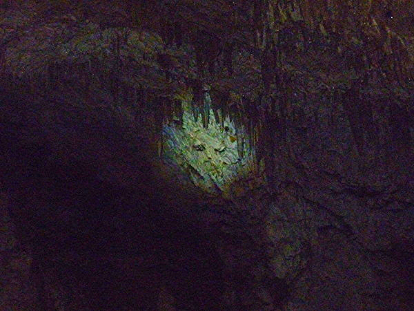 Вероника Курилова