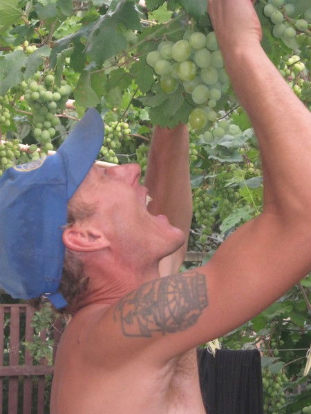 Сергей Сопов