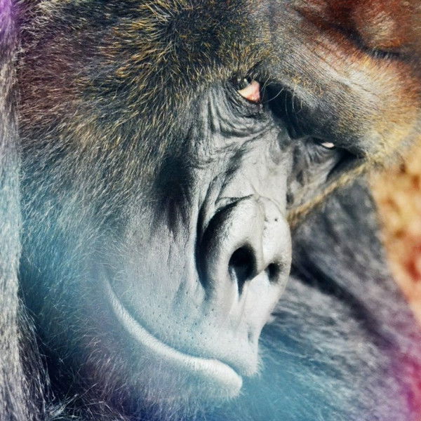 Михаил Михайлов