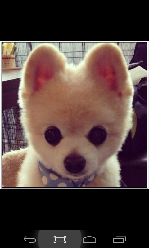 Анна Долгих