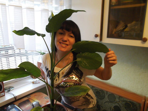 Лена Андрушко