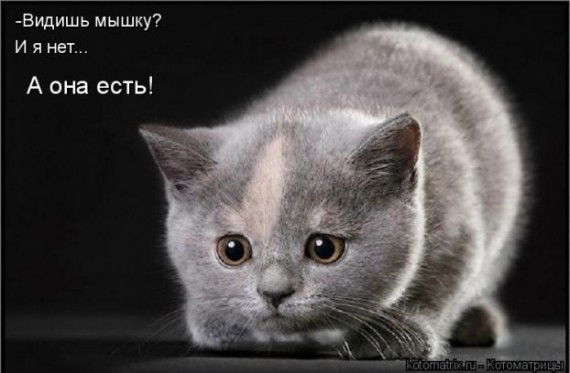 Михаил Субботин