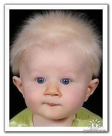 Твой Царь И Бог