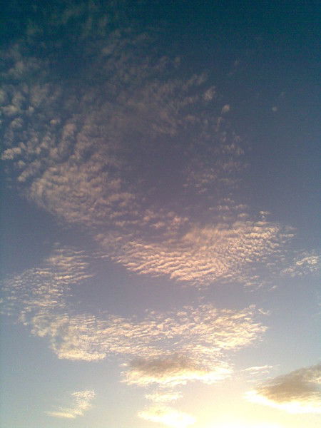 Майра Туржанова