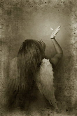 Амалия Райдер