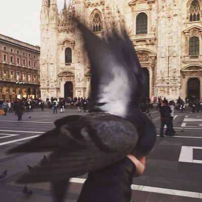 Алина Подольская