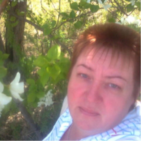 Елена Шипицына