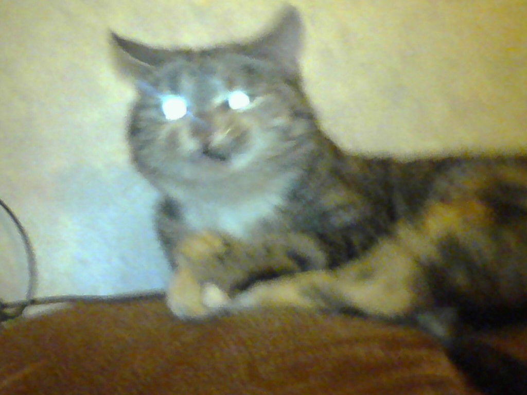 Екатерина Кораблёва