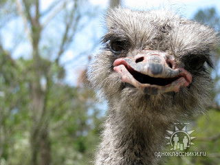 Александр С.