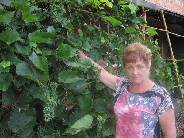 Галина Шестакова