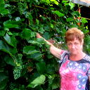 Галина Шестакова