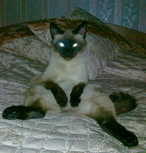 Мария Ильина