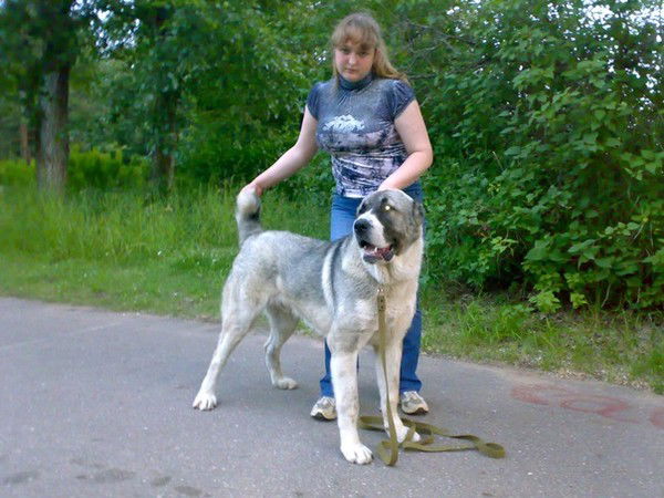 Аня Игнатьева