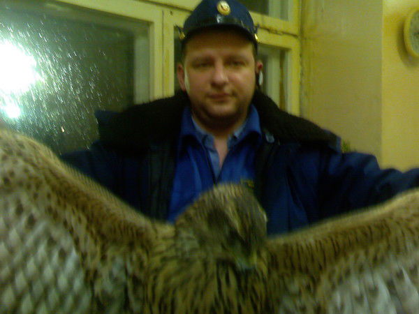 Алексей Ивашнёв