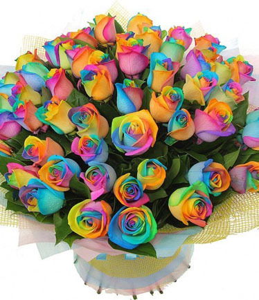 Анара Рахманбердиева