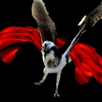 Ниннель Тульвинская