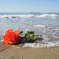 Анна Недюхина