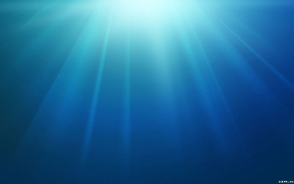 Николай Шихов