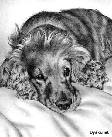 Ольга Панова