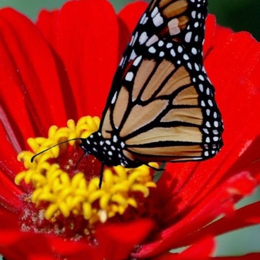 Татьяна Борисевич