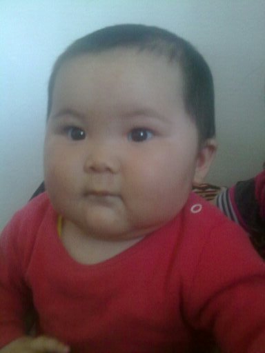 Шекер Толепбекова