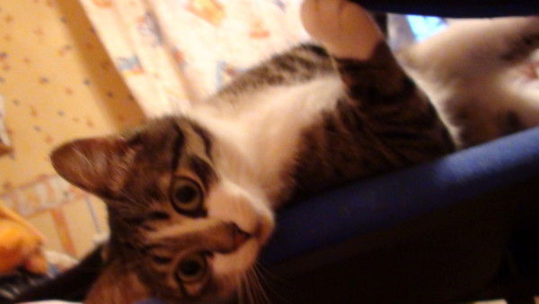 Татьяна Скорлупкина