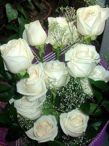 Рашида Хамитова