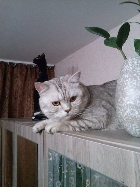 Зоя Мирошниченко