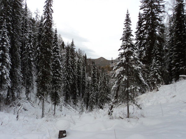 Рафис Галиев