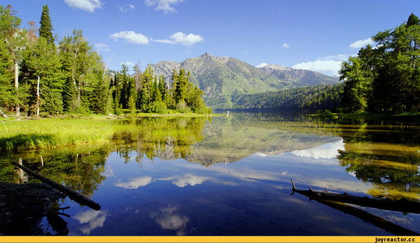 Артем Романов