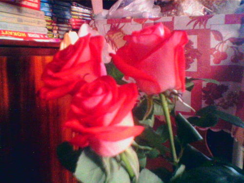 Марина Коваленко