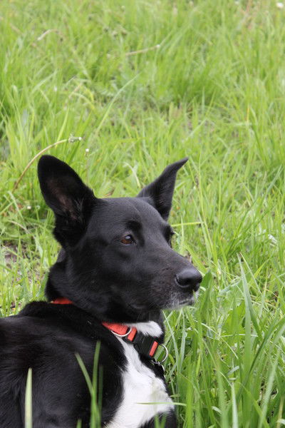 Екатерина Гурьева